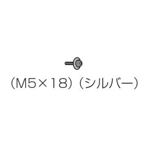 パナソニック Panasonic 液晶テレビ用固定用ねじ（M5×18）（シルバー） XYN5+F18...