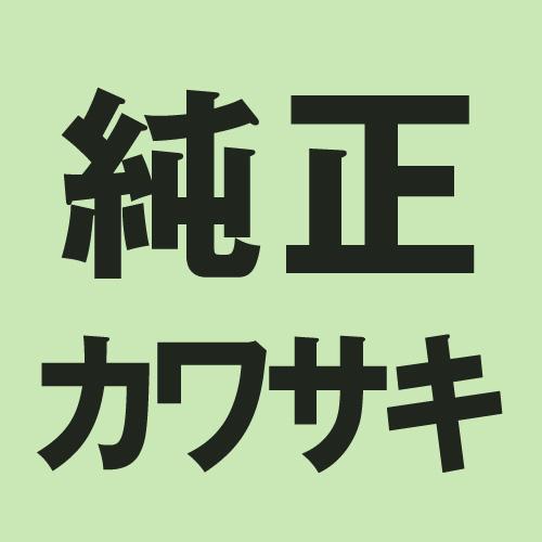 KAWASAKI(カワサキ) バイク ステー・サイレンサーバンド 【純正部品】ホルダ(エキゾーストパ...