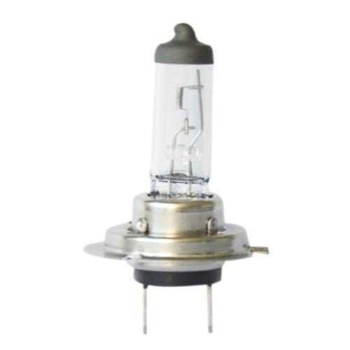 EnergyPrice(エナジープライス) H7 12V55W ヘッド球  バイク ヘッドライト球