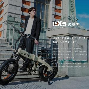 電動自転車 eXs Street エクスストリ...の詳細画像1