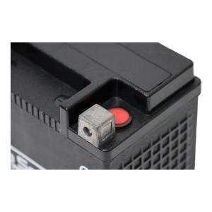 ProSelect バイク バッテリー PTX...の詳細画像4