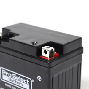 ProSelect バイク バッテリー GL-...の詳細画像4