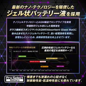 ProSelect バイク バッテリー GL-...の詳細画像2