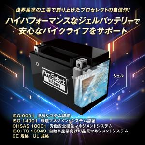 ProSelect バイク バッテリー GL-...の詳細画像3