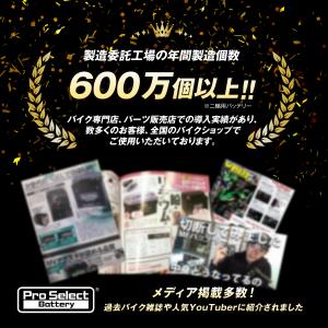 ProSelect バイク バッテリー GL-...の詳細画像4