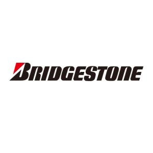 BRIDGESTONE(ブリヂストン) バイク タイヤ チューブ 3.50-8 TR-87S SCSC9006 適合タイヤサイズ：3.50-8