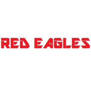 RED EAGLES(レッドイーグルス) ハンドツール 1/2“マルチロングソケット10Pセット R...