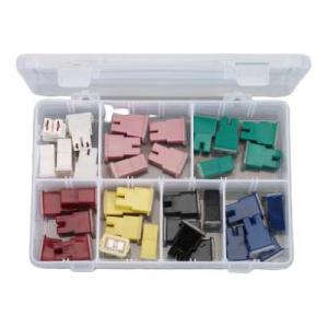 ESCO(エスコ) 自動車用スローブローヒューズセット(35ピース) EA758ZN-1 バイク