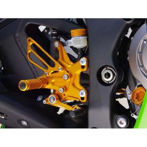 ZX10R(11-15)ベビーフェイスバックステップ
