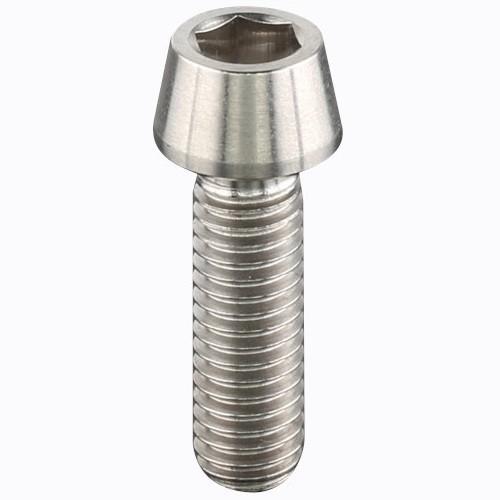 ZETA(ジータ) Z-チタン テーパーキャップスクリュー M6 P1.0 20mm D6842 バ...