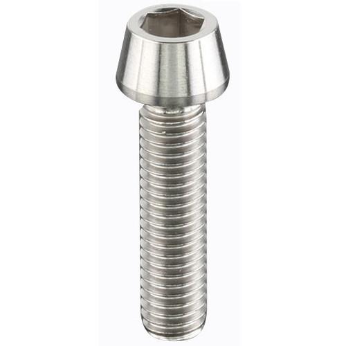 ZETA(ジータ) Z-チタン テーパーキャップスクリュー M6 P1.0 25mm D6843 バ...