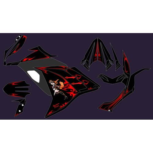 PLOT(プロト) デカールキット プロトタン レッド Ninja250 PDK748P-R バイク