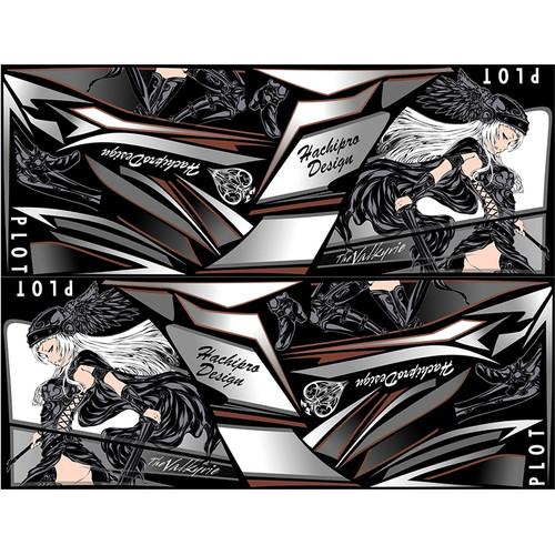 PLOT(プロト) デカールキット ヴァルキリー ブラック Ninja250 PDK748VL-K ...