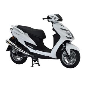 Realize Racing(リアライズ) イグジスト ステンレスマフラー シグナスX EBJ-SE...