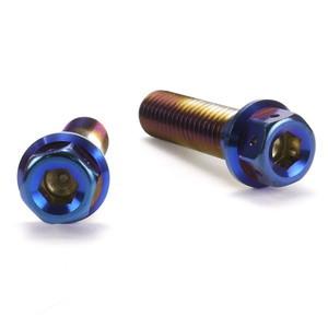 JSM ヘキサゴンヘッド PVDチタンコート ボルト M10×35mm P1.5mm TA-JSM-...