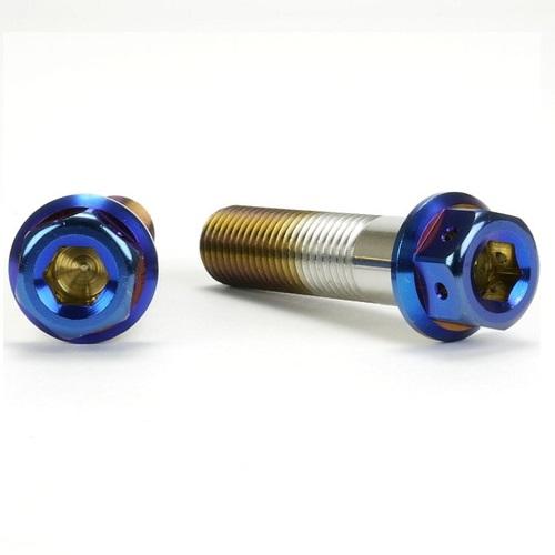 JSM ヘキサゴンヘッド PVDチタンコート ボルト M10×40mm P1.25mm TA-JSM...