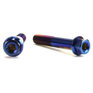 JSM ヘキサゴンヘッド PVDチタンコート ボルト M10×60mm P1.25mm TA-JSM...