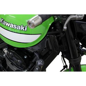 バイク 外装 エスエスケイ スピードラ SSKSPEEDRA フロントフレーム