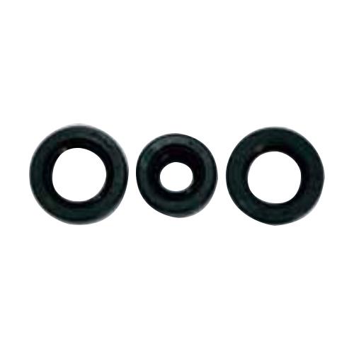 C.F.POSH(CFポッシュ) オイルシール3点セット APE50/XR50 295803 バイク