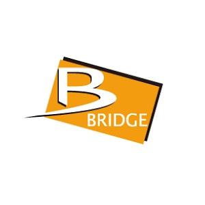 BRIDGE(ブリッジ) バイク ギボシ端子・コネクター エレクトロタップ 白 500個入 SP-0...