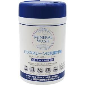ブルースカイジャパン ミネラルウォッシュ 抗ウイルス抗菌ウェットシート 100枚入 MW-WS