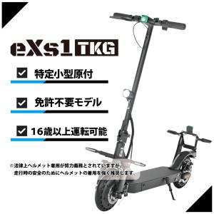 保証期間1年 特定小型原動機付自転車 eXs ...の詳細画像2