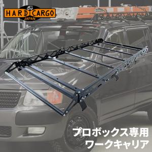 プロボックス P50V P51V P52V P55V P58G P59G P160V P165V トヨタ ワークキャリア キャリア ハードカーゴ HARDCARGO ロングキャリア｜partsking