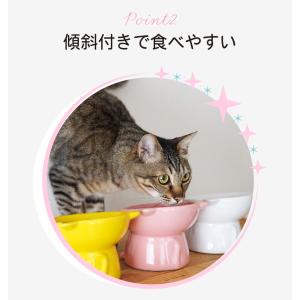 Catty Bowl フードボウル 食べやすい...の詳細画像4