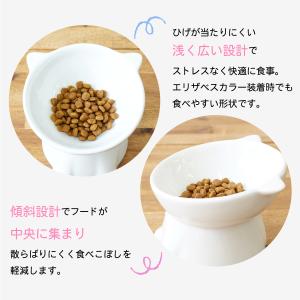 Catty Bowl フードボウル 食べやすい...の詳細画像5