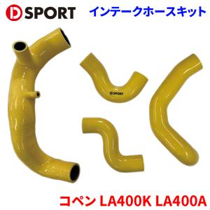 D-SPORT(ディースポーツ) スーパーインテークホースキット 品番：17113