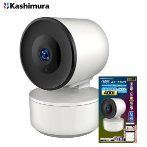 カシムラ スマートカメラ KJ-189 スマートカメラ用ソーラーパネル 3W