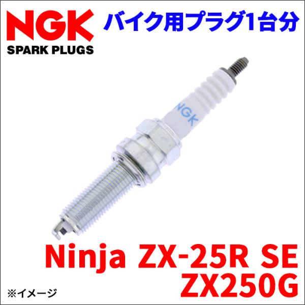 Ninja ZX-25R SE ZX250G カワサキ NGK製 プラグ LMAR9G [97476...