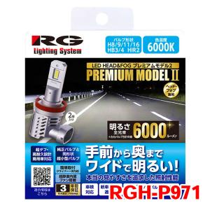 RG LED H4 ヘッドライト フォグライト バルブ RGH-P973 POWER HEAD