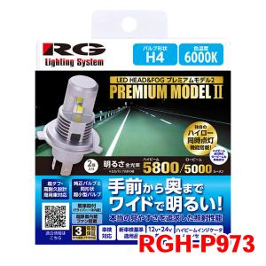 HB3 HB4 HIR1 HIR2 ヘッドランプ フォグランプ RGH-P982 6000K Hi5500