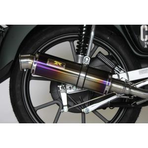 スペシャルパーツ武川 武川 04-02-0377 スクランブラーマフラー(リフト