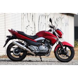 リアライズ   マフラー  Ariaステンレスカールエンド  GSR250