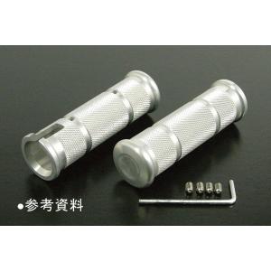 スペシャルパーツ武川 武川 06-01-3004 ノーマルフロントフォーク強化