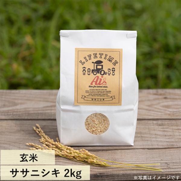 ササニシキ 玄米 "Ai" 2kg 令和7年産 LIFETIME ORIGINAL米　宮城県石巻市よ...