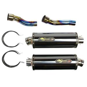 アールズギア Kawasaki Ninja ZX-14R('16〜)用 ワイバン Twin & Slip