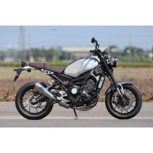 レイト商会 MT-09(-16')/TRACER/XSR900 アールズギア ワイバンリアル