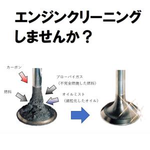LIQUI MOLY(リキモリ) ガソリン添加...の詳細画像1