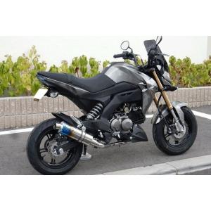 WR'S Kawasaki Z125PRO用 チタンショートオーバル焼き色サイレンサー/フルエキゾースト LS4110JM｜partsonline