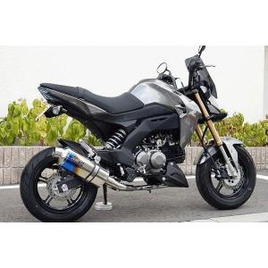 WR WR'S Kawasaki Z125PRO用 チタンショートオーバルソリッド