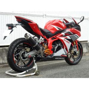 WR WR'S HONDA CBR250RR MC51用 ラウンドタイプ ステンレス