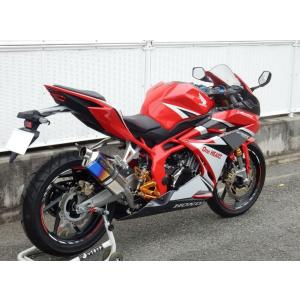 WR WR'S HONDA CBR250RR MC51用 ラウンドタイプ ステンレス/ステンレス