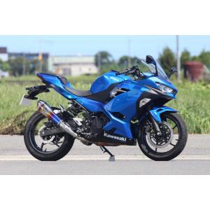 r's gear（アールズギア） バイク用 マフラー Ninja250(18-),Z250(19