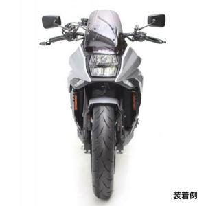 ACTIVE LEDウインカー＆ラジエターシュラウドキット スモーク アクティブ ACTIVE LEDフロントウィンカー&ラジエターシュラウド
