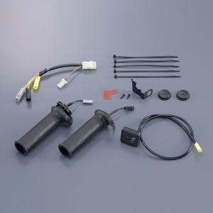 カワサキ ZZR250 1990-2007 DANMOTO カーボン スリップオンマフラー