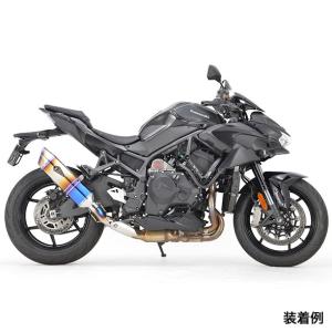 ハイビスカス サイレンサー IXILデュアルレースXTREMサイレンサーKAWASAKI Z