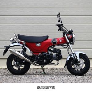 ZERO GRAVITY（ゼログラビティ） Ninja ZX-25R/ZX-4R スクリーン
